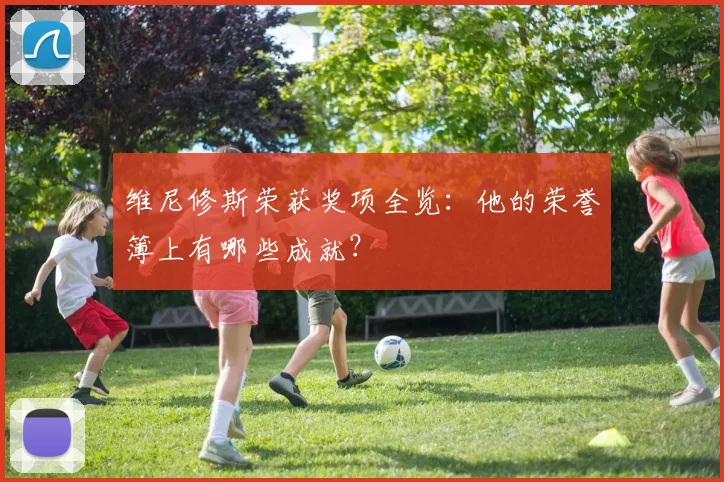 维尼修斯荣获奖项全览：他的荣誉簿上有哪些成就？